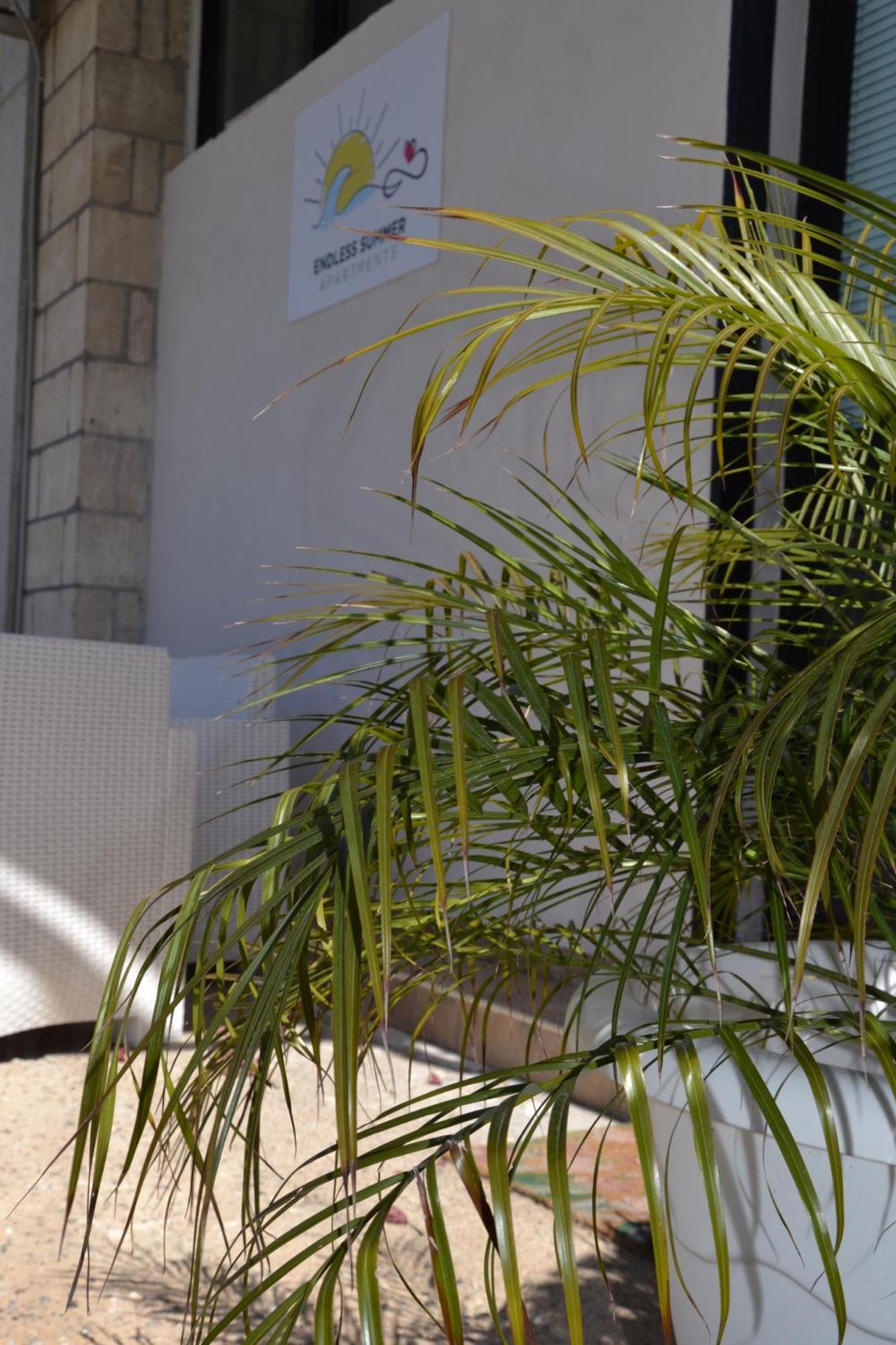 Endless Summer Apartments Scanzano Jonico Εξωτερικό φωτογραφία